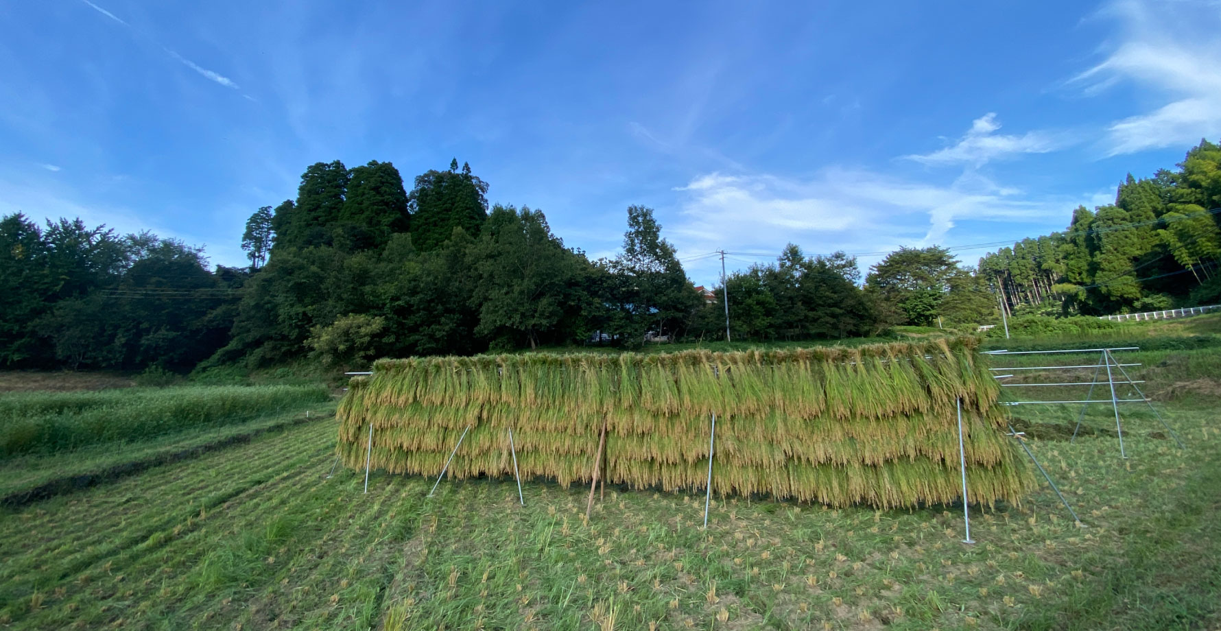 はざかけフォト